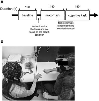 EEG brain oscillations are modulated by interoception in response to a synchronized motor vs. cognitive task